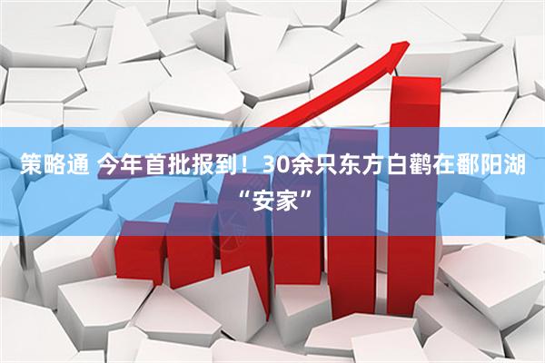 策略通 今年首批报到！30余只东方白鹳在鄱阳湖“安家”