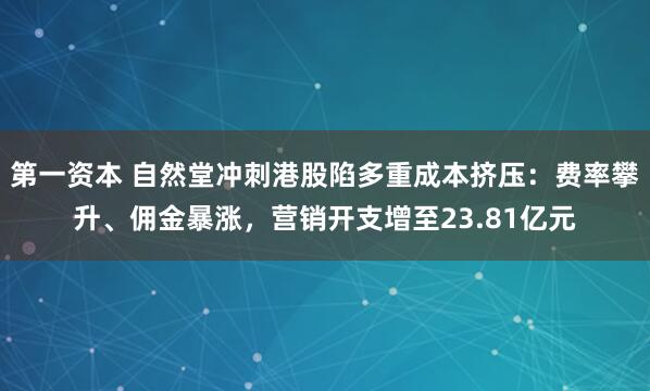 第一资本 自然堂冲刺港股陷多重成本挤压：费率攀升、佣金暴涨，营销开支增至23.81亿元